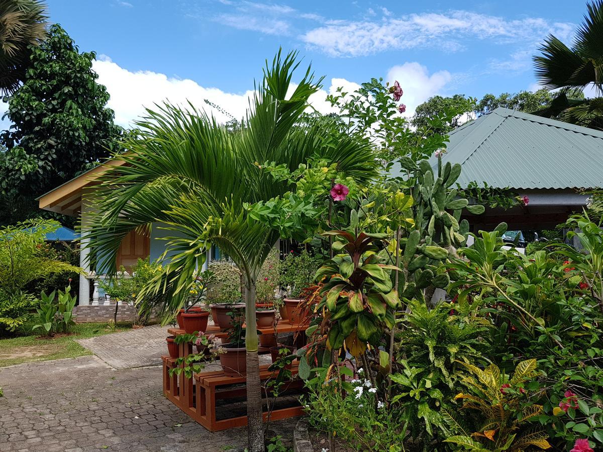 Island Bungalow Ла-Диг Экстерьер фото